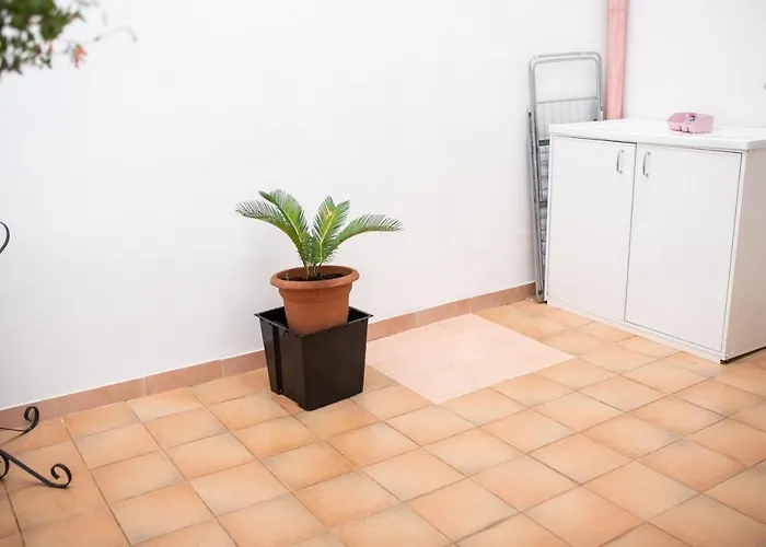 Casa Valeriana Daire Sava